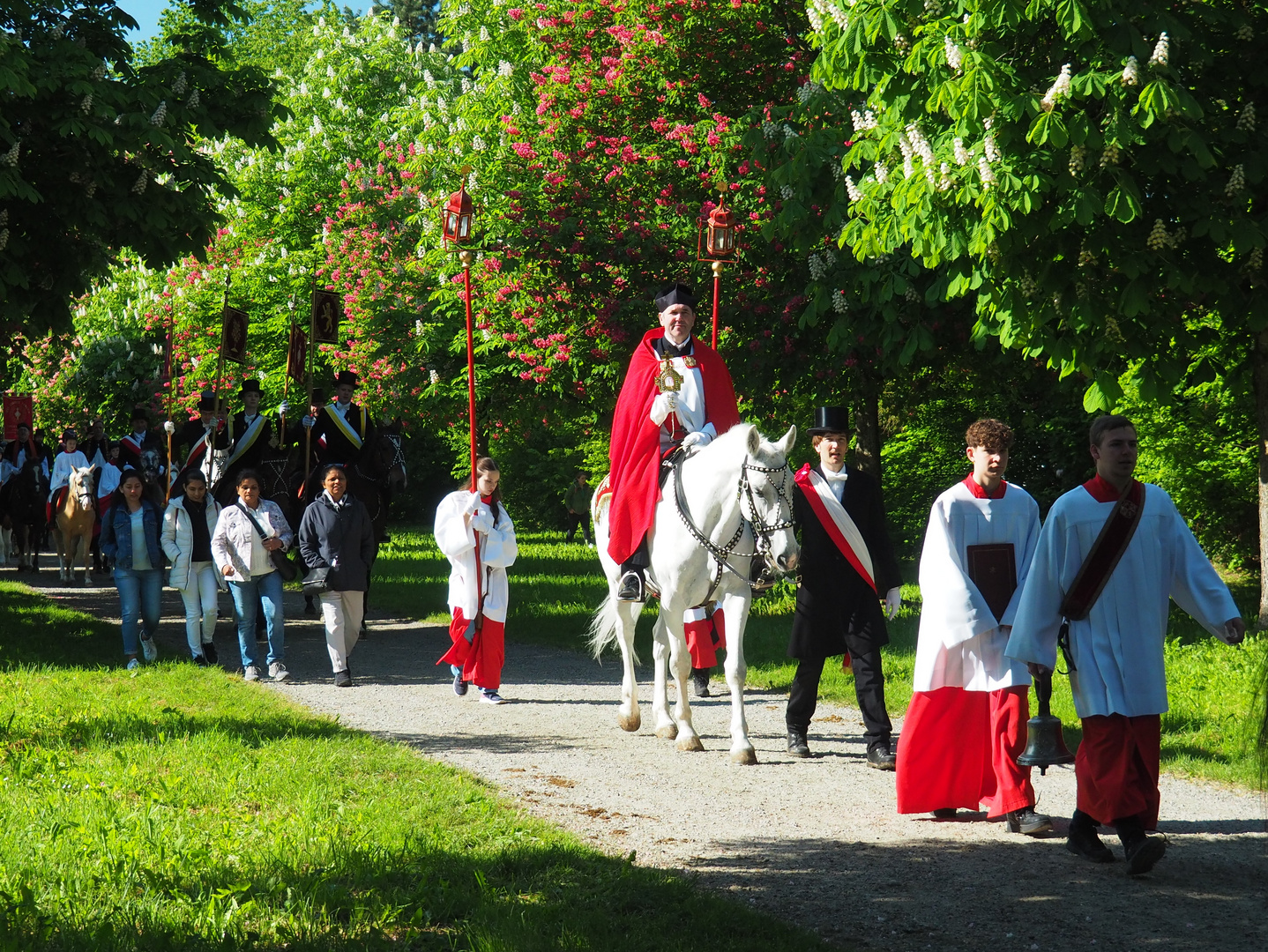 Blutritt in Weingarten - der Blutreiter!