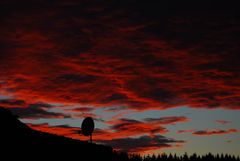 Blutroter Abendhimmel über Schleiden/Eifel