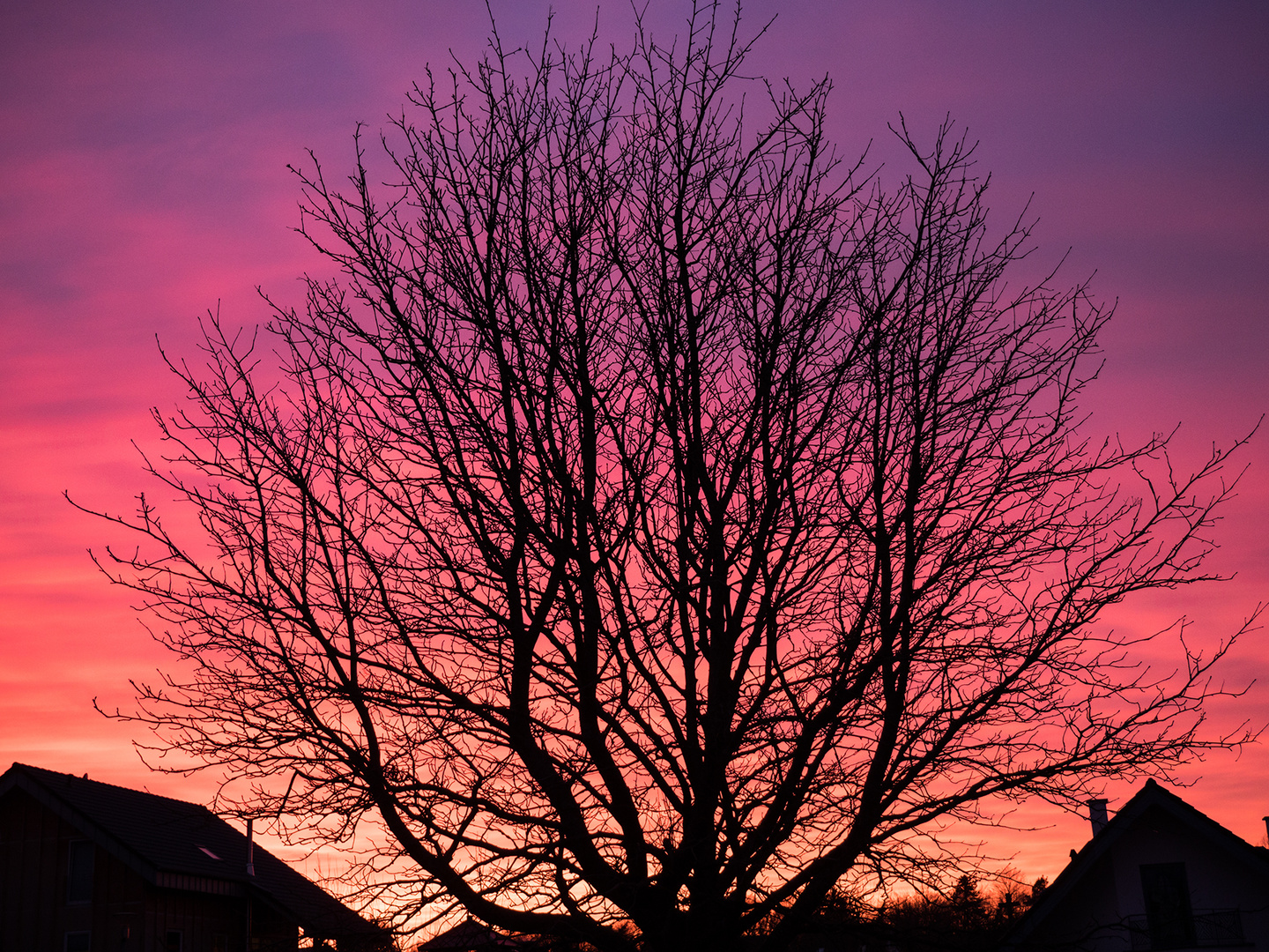 blutroter Himmel vor unserer Haustür