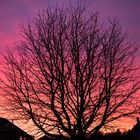 blutroter Himmel vor unserer Haustür