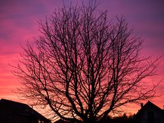 blutroter Himmel vor unserer Haustür