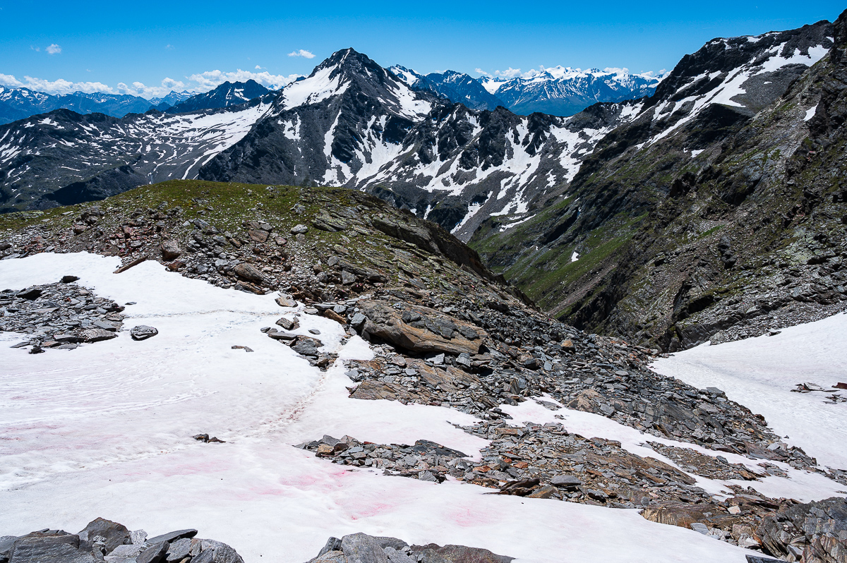 Blutschnee am Fundusfeiler (Ötztaler)