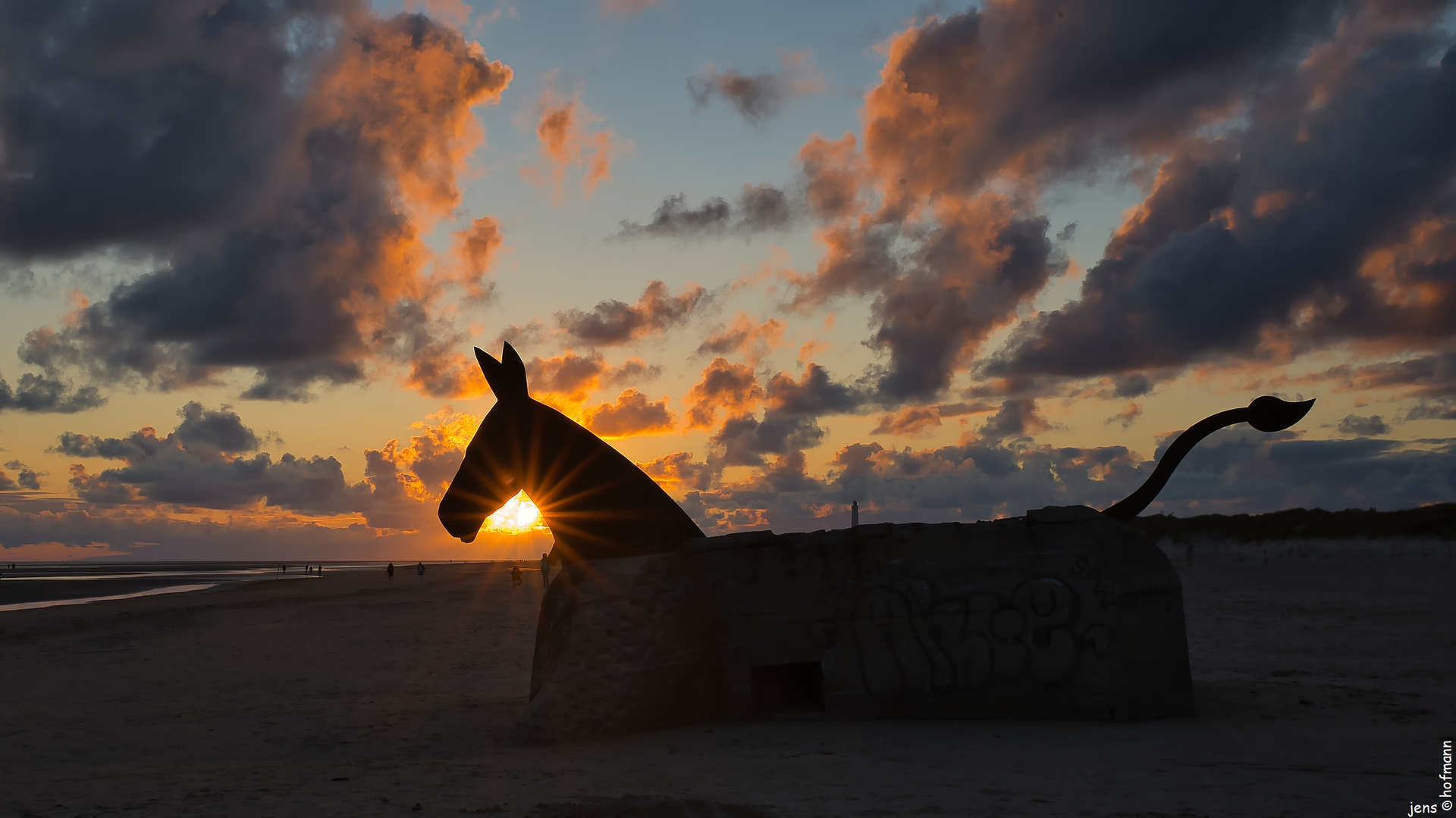 Blåvand Bunker Mules