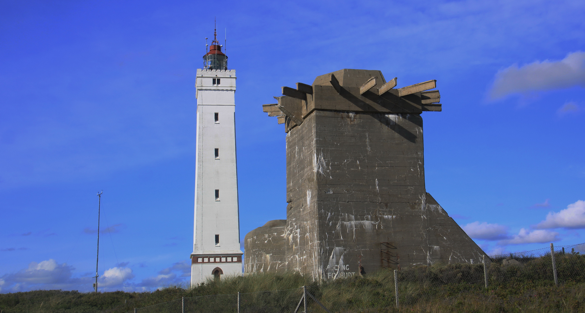 Blåvand