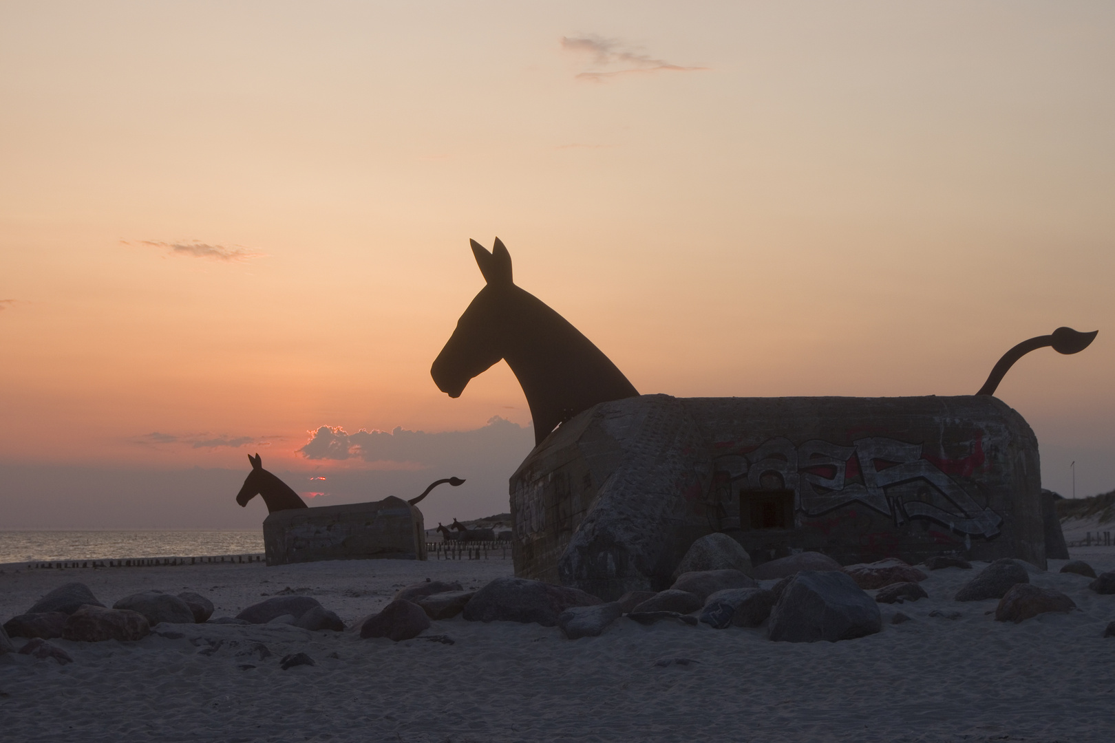 Blåvand Maultiere