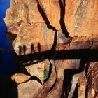 Blyde River Canyon - Bourke's Luck Potholes