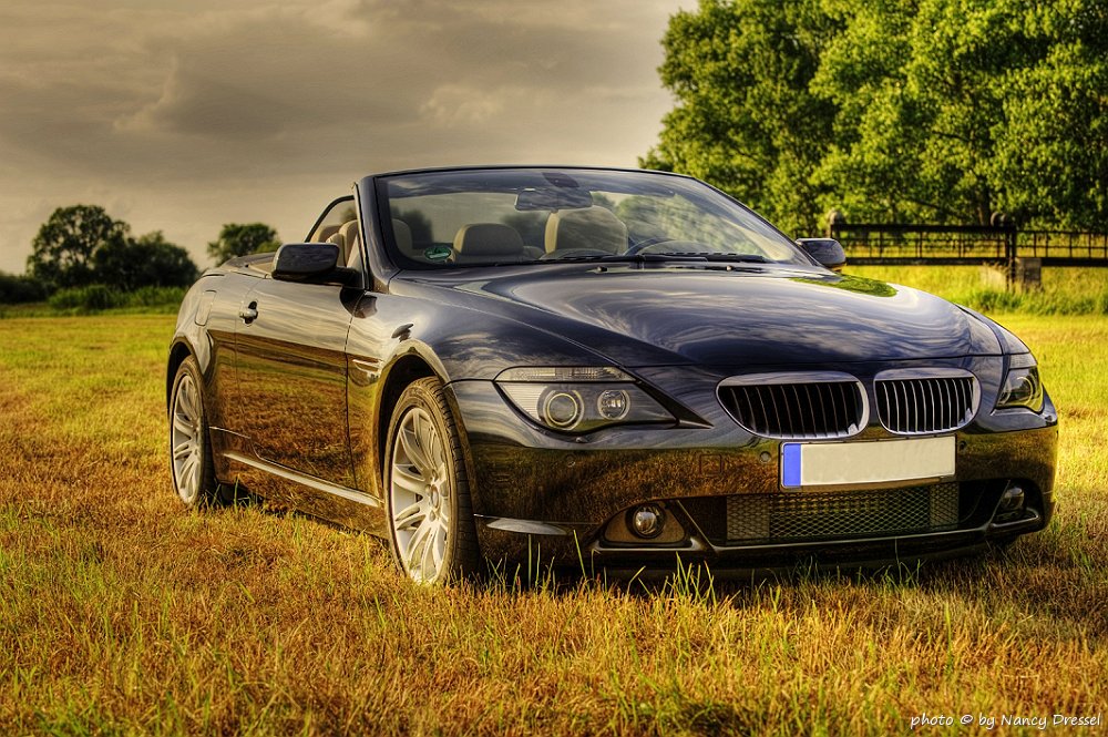 bmw 650 cabriolet