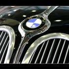 BMW - Detail