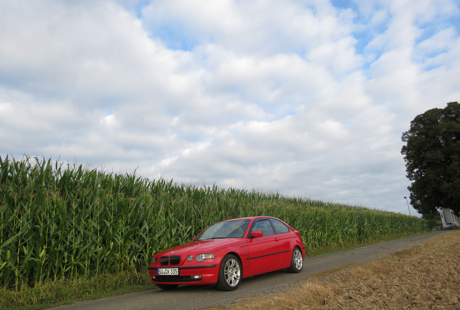 BMW E46 325ti aka Shorty 2503tii