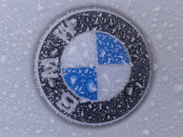 BMW Emblem