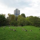 BMW Hochhaus - Vierzylinder Turm am Olympiapark (... mit Badeenten ;-)