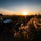 BMW im Sonnenuntergang