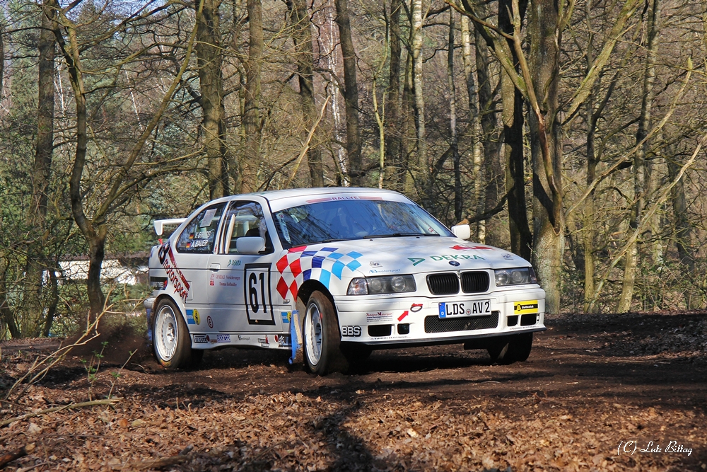 BMW im Wald