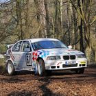 BMW im Wald