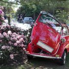 BMW Isetta