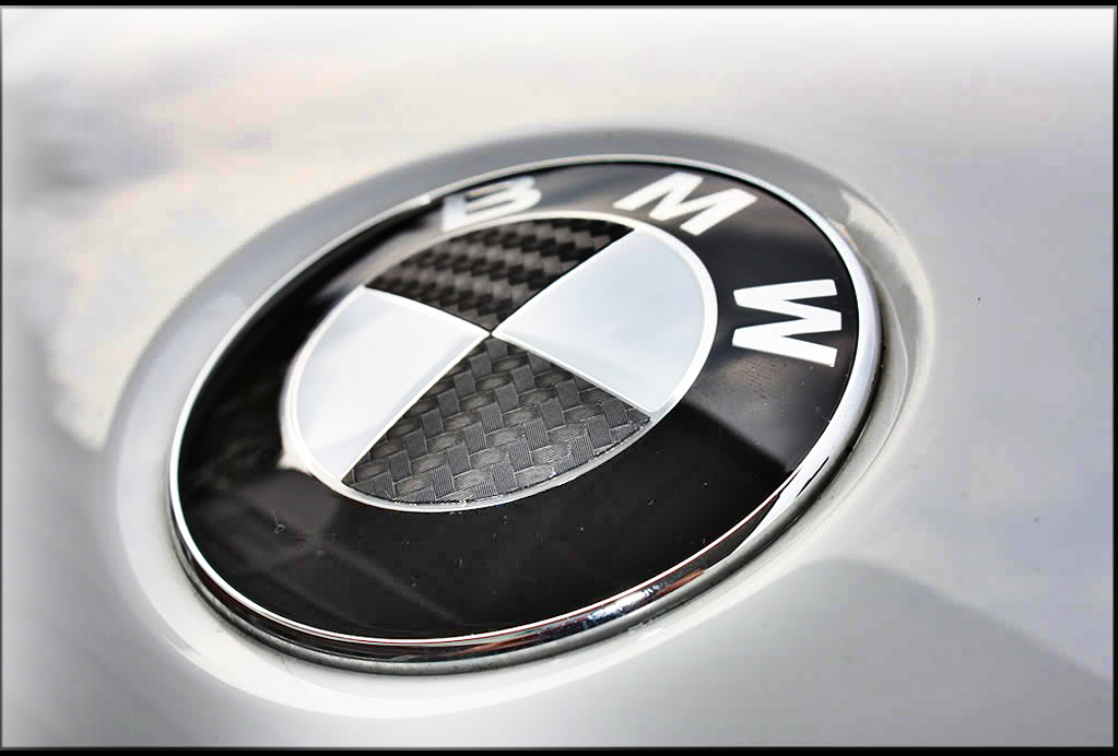 BMW LOGO