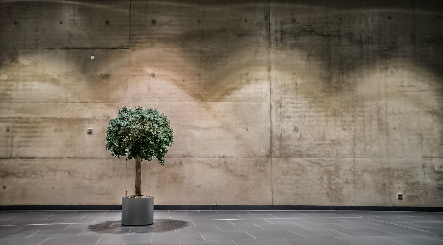 BMW Niederlassung Leipzig bei Nacht