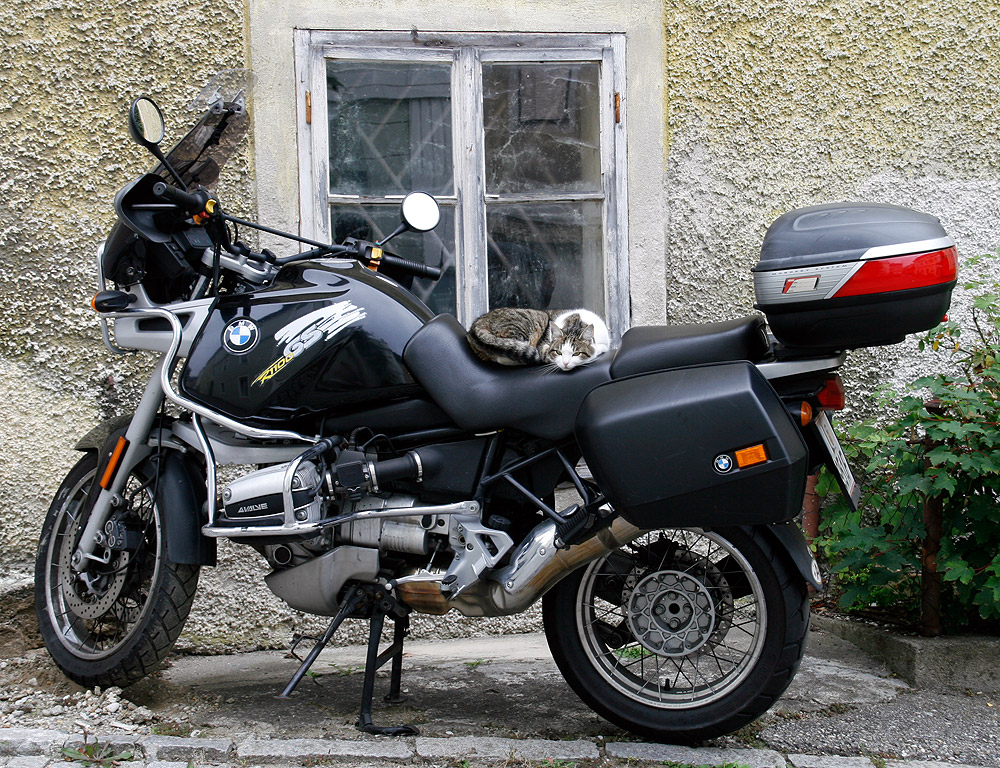 BMW R1100GS - alles für die Katz'!