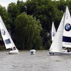 BMW - Sailing - Cup