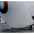 BMW-Sailing Cup