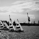 BMW Sailing Cup Hamburg 2011