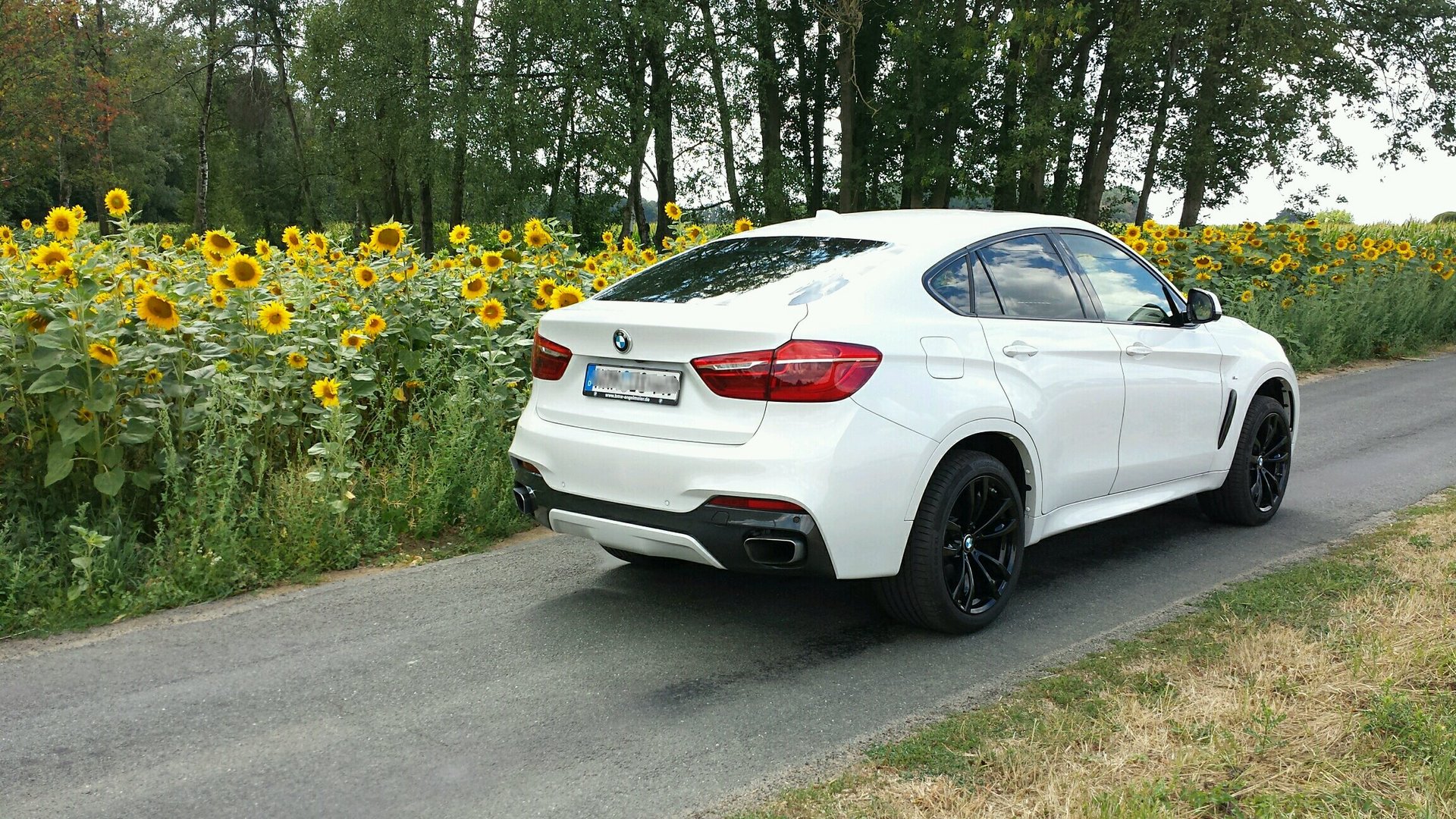 BMW X6 F16 50i