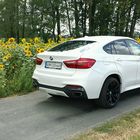 BMW X6 F16 50i