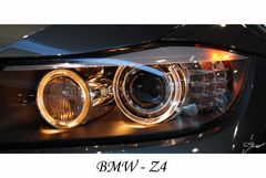 BMW Z4 Frontpartie