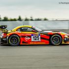 BMW Z4 GT3, VLN Nürburgring, Langstreckenmeisterschaft