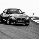 BMW Z4 in der Mausefalle