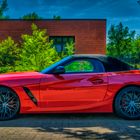 BMW Z4 rot