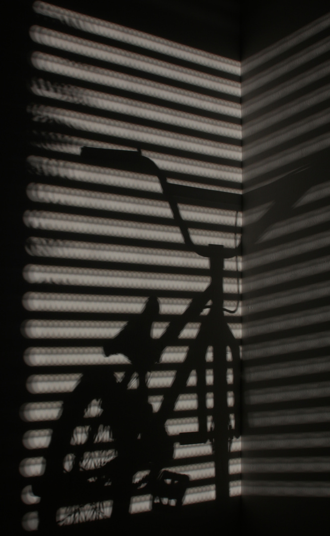 BMX - Bicycle Moto Shadow