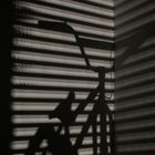 BMX - Bicycle Moto Shadow