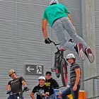 BMX Boyz 2008