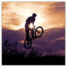 bmx in sun