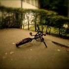 BMX session