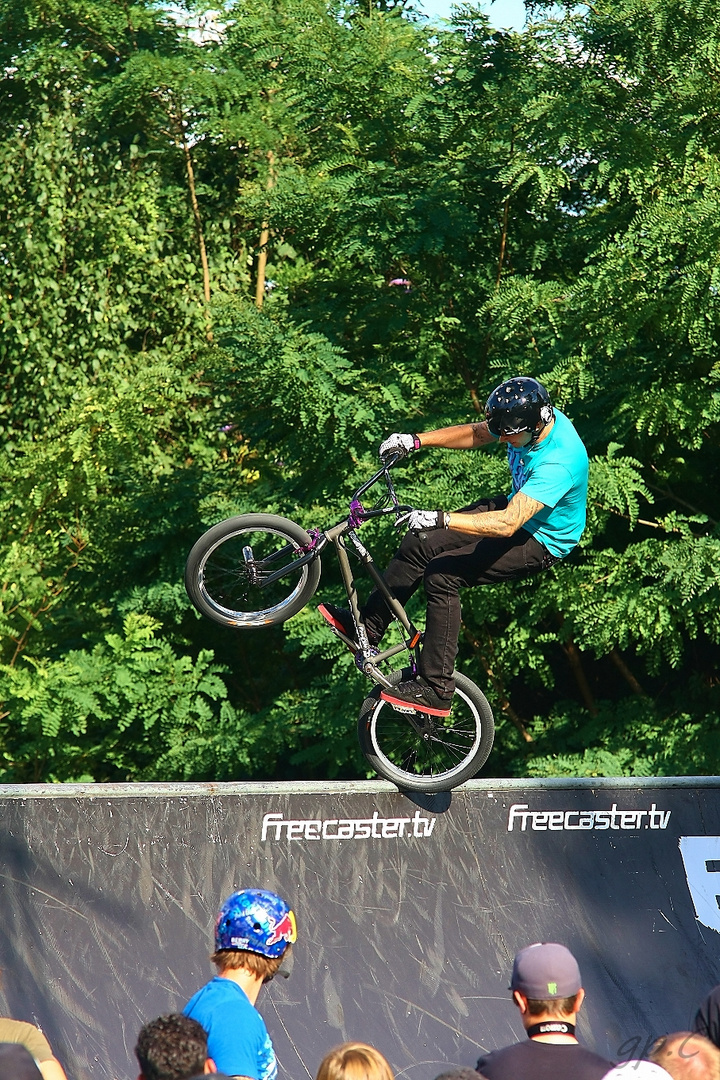 bmxmaster-2011 