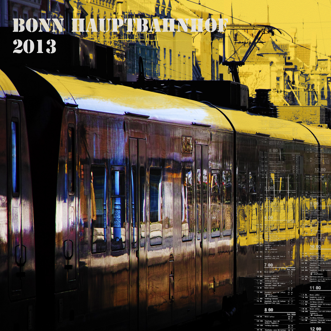 BN-HBF-2013