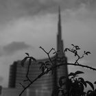 B/N Milano - Unicredit Tower