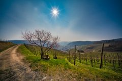 Bnätesse Blick im Frühling