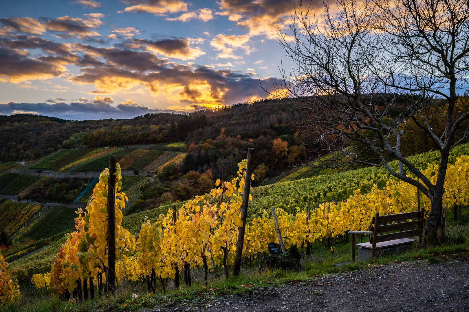 Bnätesse Blick im Herbst