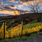 Bnätesse Blick im Herbst