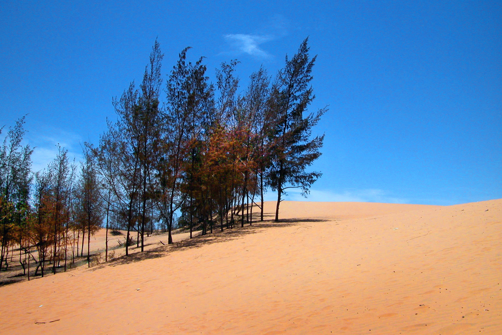 Bình Thuan Dunes