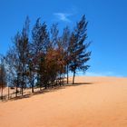 Bình Thuan Dunes