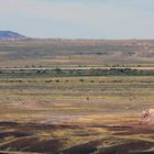 "BNSF Container Zug auf dem Weg durch den "Petrified Forest "(Burlington Northern Santa Fe Railway)"