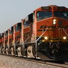 BNSF-Containerzug mit 9 Loks bei Flagstaff