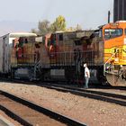 BNSF Train stopped for Advice...