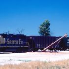 BNSF#2866 (ex Santa Fe ywb) Grain Freight Train at noon at a Grain siding...CA