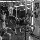 Bnw carousel 