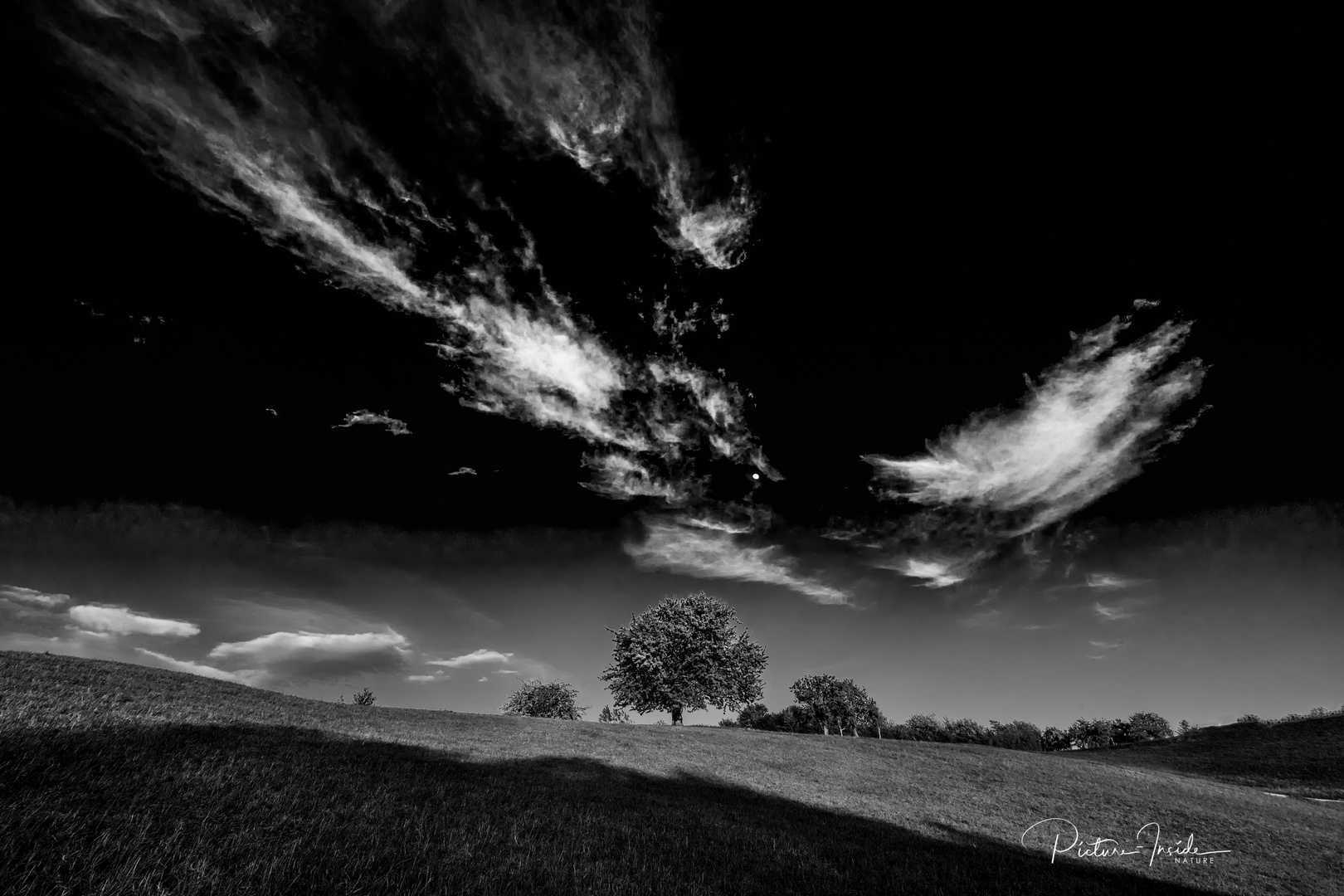 BnW:Sky